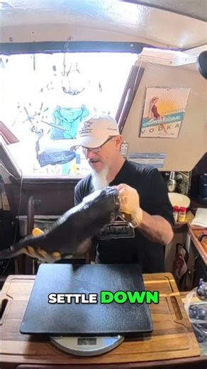 Trash Fish to Gold | Epic Catfish Fillet & Cooking