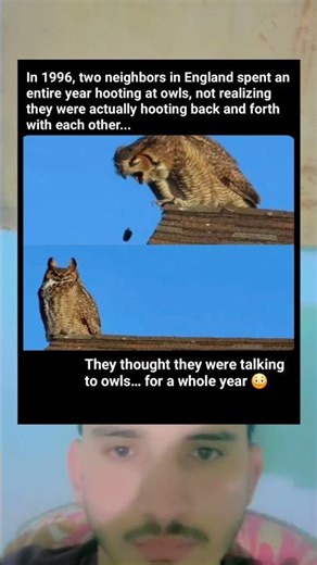 They Thought They Were Talking to Owls… For a YEAR 😳🦉 The Funniest Mistake Ever