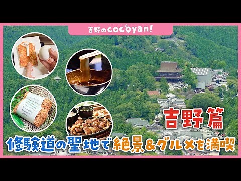 [Yoshino Tourism] cocoyan! A sightseeing map created by locals! Yoshino Edition