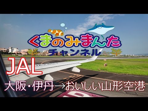 JAL 大阪伊丹空港からおいしい山形空港まで！！ノーカット2025/8月