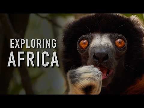 Sub-Saharan Africa | 6 Months, 8 Countries - Safaris, Wildlife & Islands (4K)