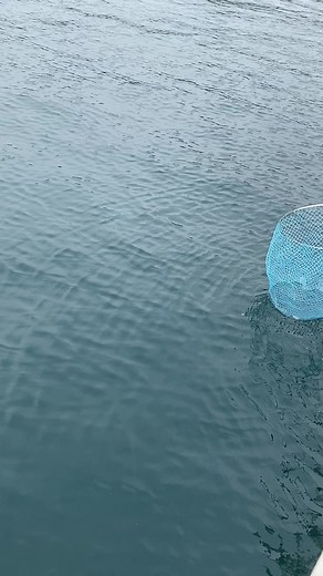 Blue Fishing Net Techniques for Successful Fishing