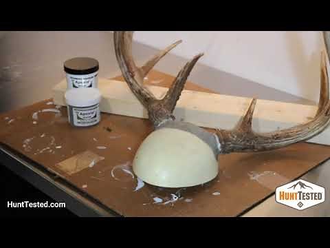 Mounting Antlers in 6 Easy Steps