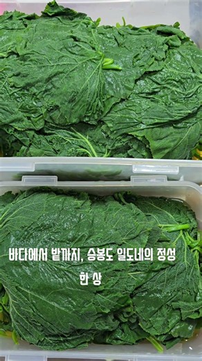 #승봉도 #승봉도여행 #승봉도펜션 #일도네펜션 #승봉도일도네펜션 #승봉도맛집 #승봉도식사 #1박2일패키지 #식사4식 #섬여행 #여름휴가 #힐링여행 #호박잎 #열무물김치 #고동