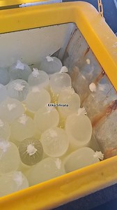 182K views · 1.2K reactions | Spill pembuatan es batu #fyp #reels #jangkauanluas #viral | Erika Silviana | Facebook