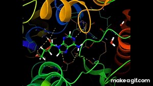 MD Simulation Animation 3 on Make a GIF