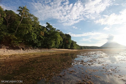 Here's why wetlands are so crucial to Indonesia's climate goals