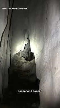 Looking For New Species And Exploring Karst Caves In Cambodia