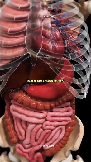 Wanna Lose 5 Pounds Quickly?