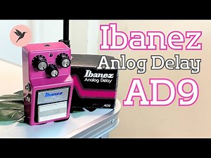 8 way of Ibanez AD9 Analog Delay sound