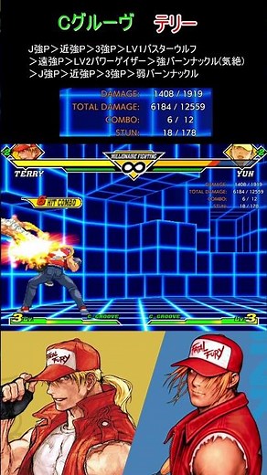 Capcom vs. SNK 2 Terry Combo Notes Part 4