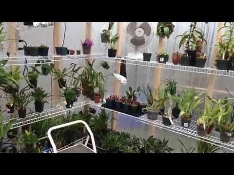 Greenhouse Build: My New DIY 10 x 16 Greenhouse Tour