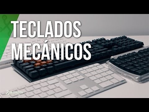 Mechanical keyboards: an in-depth guide to understanding their differences