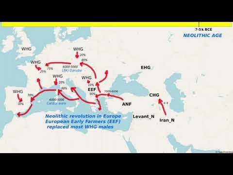 Ancestral Origins: A Genetic History of Humanity's Evolution