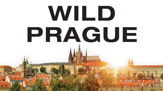 Wild Prague – Apple TV
