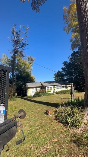 🎥 Watch the Rig in Action! Here’s a behind-the-scenes look at our crew using speed line rigging to remove a Hickory tree in a tight-access area in Surry, VA. This technique lets us lower limbs safely and efficiently — protecting nearby structures and landscaping while keeping the job site clean and controlled. 📍 Surry, VA 🪓 Hickory tree removal ⚙️ Speed line rigging ✅ Licensed & Insured When precision matters, call BigFoot’s. 📞 Let’s talk about your next project. #TreeRemoval #SpeedLineRiggi
