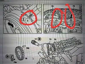check your M111 timing chains! (BIG GAINS!!!)