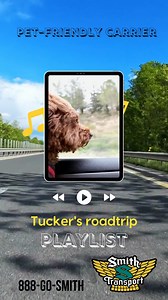 13 reactions | The benefits of a pet traveling with you are proven! Smith Transport is proud to be a pet-friendly carrier, offering our professional drivers another benefit to driving with us! The pay, the equipment, the home time, the benefits package, the terminal locations and so much more! Call Recruiting at 888 GO SMITH. | Smith Transport | Facebook