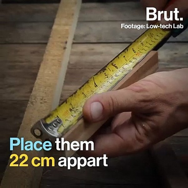 A low-tech initiative to grow vegetables in Singapore