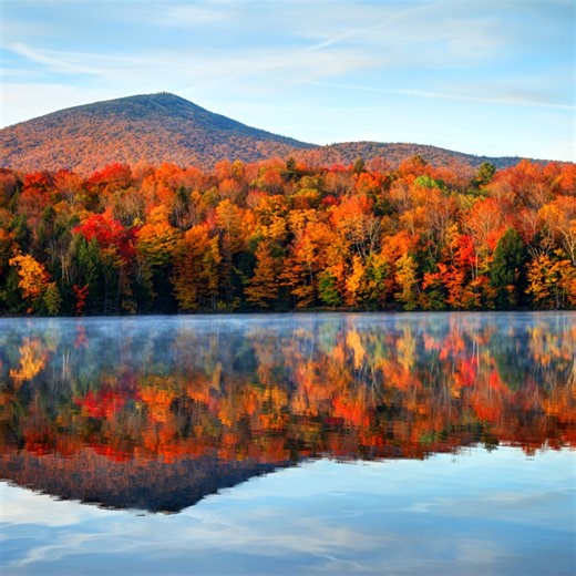 Here’s How to Use Explore Fall’s Fall Foliage Map for the US