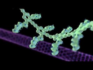 Nanotechnology Animation; Functionalized nanotubes.