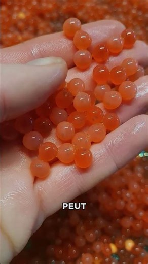 Pourquoi les œufs de saumon sont-ils récoltés ainsi