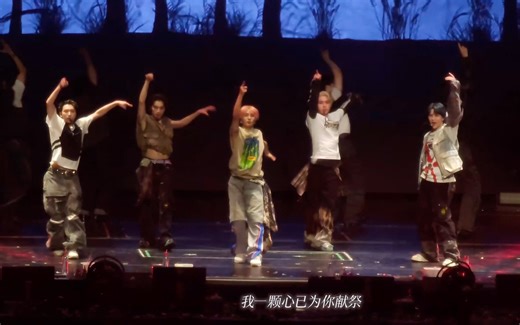 珍贵的国内限定的共影She A Wolf（含中文字幕）