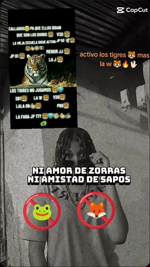 Videos de La lokaria🐯🌪️ (@la.lokaria5) con “sonido original - La lokaria🐯🌪️”