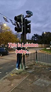 261K views · 1.3K reactions | This is London baby  #london | London TV | Facebook