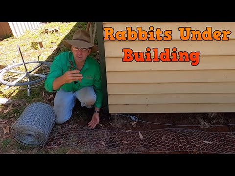 Rabbit Barrier Under Shed. Keeping burrowing pests out from under buildings.