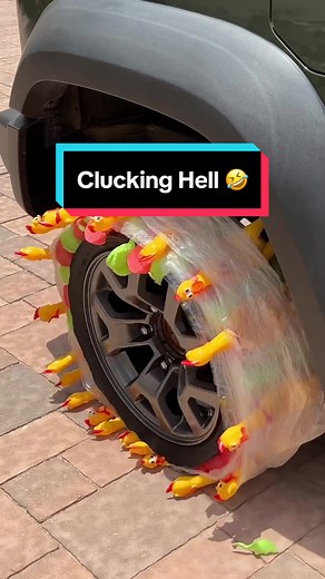 Eggstremely Hilarious Rubber Chicken Tires for Cars