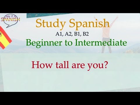 How tall are you? | Say it in Spanish - Beginner to Intermediate