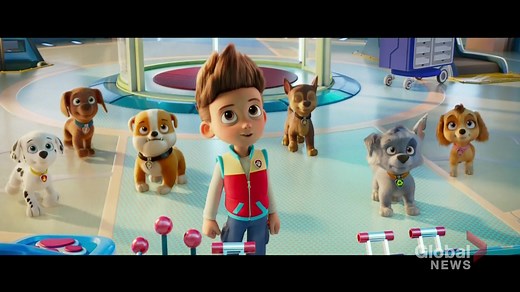 13K views · 179 reactions | PAW Patrol: The Movie is now out in theatres. The voice behind Ryder, one of the main characters, is Will Brisbin: a 16-year-old from Sherwood Park. Brisbin explains how his first voice audition landed him the sweet gig. | Global Edmonton | Facebook