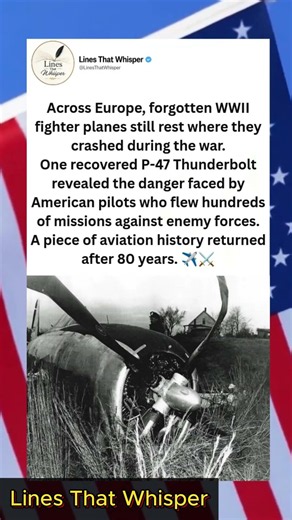 80 Years Forgotten: The WWII Fighter Found Where It Fell 🇺🇸