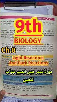 Biology 9th Chapter 8 Light & Dark Reactions | Photosynthesis Notes | Smart Syllabus 2025