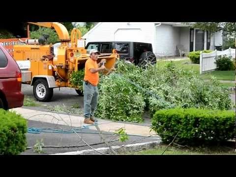 Wood Chipper In Action