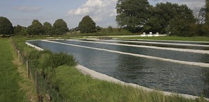 In growing algae for biofuels, it matters who used the water last