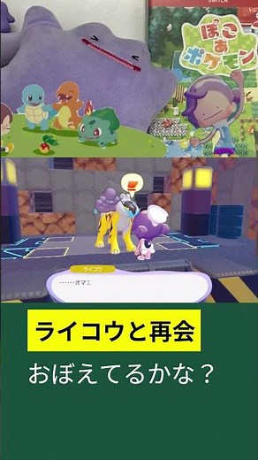 【ぽこあポケモン】ライコウに再開！どんより海辺をおぼえているかな？#ポケモン #pokemon #ぽこぽけ #ぽこあポケモン #pokoapokemon