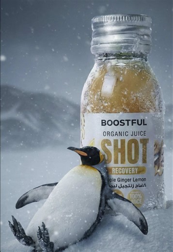 Understanding the Lonely Penguin Phenomenon