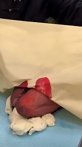 यह चीजें गलत समय पर भूलकर भी मत खाना . . Follow 👉 @dailyhelthedge Follow 👉 @dailyhelthedge Health tips Note: These tips are general in nature, and it's always a good idea to consult a healthcare professional or expert for personalized advice. ---------------------------------------------- ✅ Credit Respected Owner ☑️ Pic is used only for educational purposes only ✅ DM For Credit / Removel ---------------------------------------------- #DietingTips #HealthyLiving #WeightLossJourney #NutritionAdv