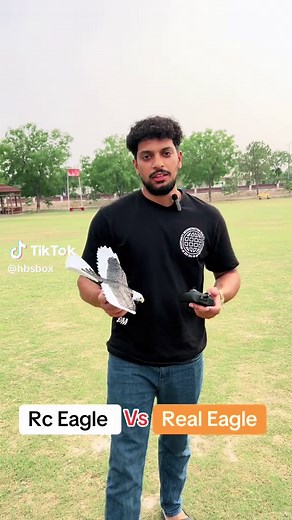 Rc Eagle vs Real Eagle: Unboxing and Performance Review