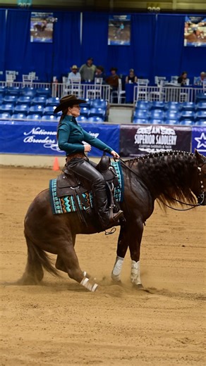 110K views · 4.4K reactions | The best kind of shenanigans always involve horse shows and pretty horses.  #2025NRBC | National Reining Breeders Classic | Facebook