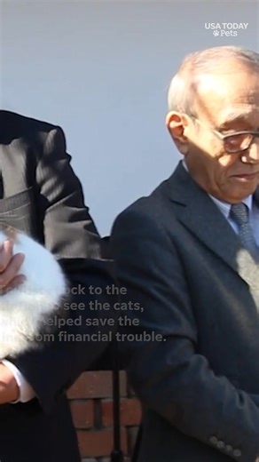 A Japanese train station has appointed a new cat stationmaster in a long-standing tradition. 🐈🚉 Meet Yontama! #usatodaypets | USA TODAY