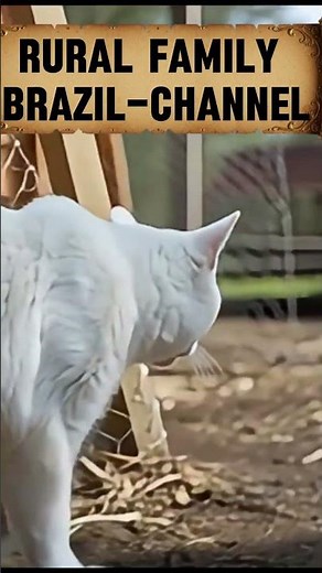 Rural Family Brazil-Channel #countrylife
