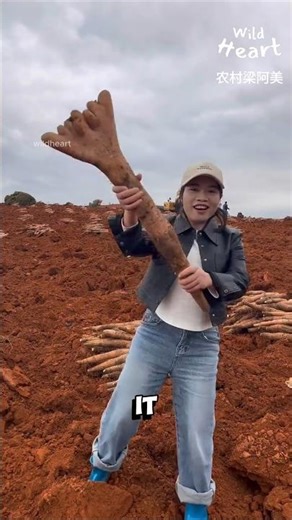 Digging for Deep Yams