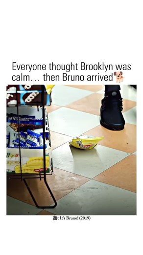 Movies nation on Instagram: "⚡ “One dog… One city… And chaos wherever he goes.” --- CREDITS: It’s Bruno! (2019) 🎬 Created by: Solvan “Slick” Naim 🎭 Starring: Solvan “Slick” Naim, Brandon Kyle Goodman, Julian Ortega 🎞️ Genre: Comedy | Drama ⏳ Runtime: 1 Season (6 Episodes, 30 min each) 🌍 Country: United States --- About: It’s Bruno! is a lighthearted comedy-drama following the life of Bruno, a mischievous dog, and the quirky residents of Brooklyn who love—or are hilariously inconvenienced by—