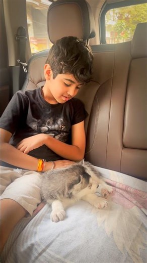 Hmara new family member aa gya 🥰 #dailyvlog #minivlog #shorts #shortvideo #familyvlog