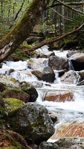 📸 Cherishing the best moments w/ 💕 amazingsight #mountains #nature #beautiful #scenery #hiking