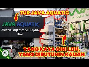 TOUR JAVA AQUATIC | HAMPIR SEMUA KEBUTUHAN FRESH WATER ADA DI JAVA