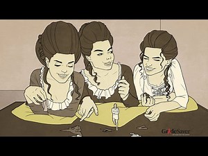 Gulliver Travels - Video Summary